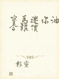 宝马迷你油电混合报价
