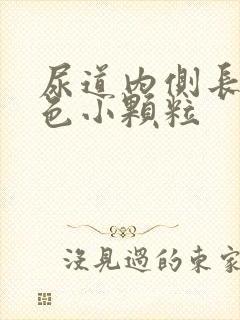 尿道内侧长了白色小颗粒