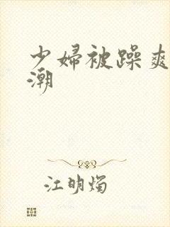 少妇被躁爽到高潮