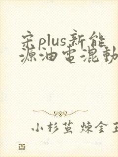 宋plus新能源油电混动