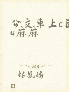 公交车上c巨ru麻麻