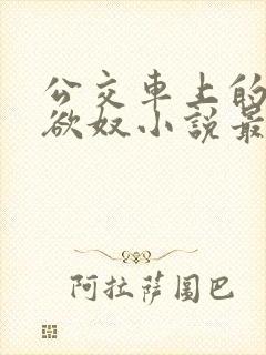 公交车上的调教欲奴小说最新章节更