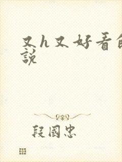 又h又好看的小说