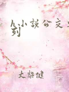 h小说公交车系列