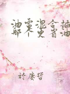 油电混合插电混哪个更省油