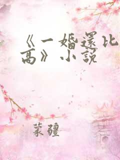 《一婚还比一婚高》小说