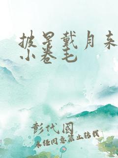 披星戴月来睡你小卷毛
