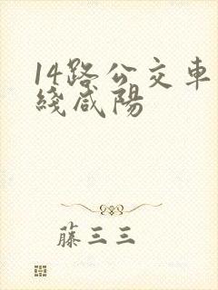 14路公交车路线咸阳