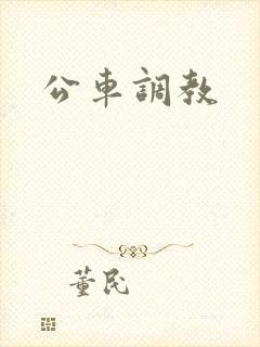 公车调教