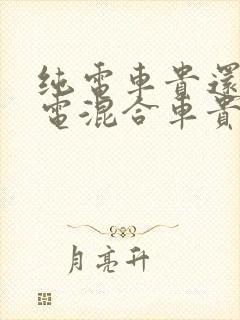 纯电车贵还是油电混合车贵