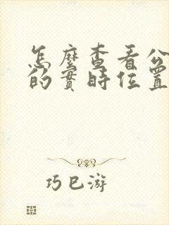 怎么查看公交车的实时位置