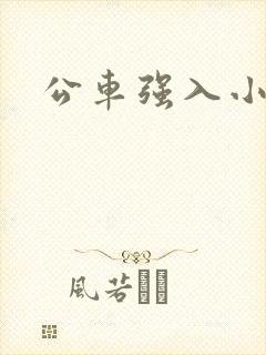 公车强入小说