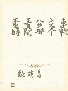 查看公交车到站时间哪个软件最好用