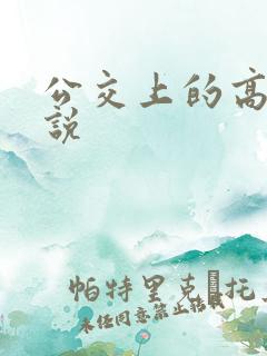 公交上的高潮小说