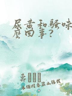 尿黄和骚味重怎么回事?