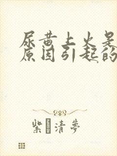 尿黄上火是什么原因引起的