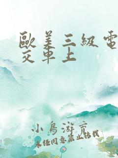 欧美三级电影公交车上