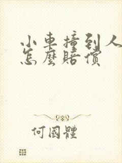 小车撞到人全责怎么赔偿