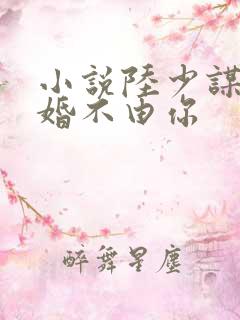 小说陆少谋妻之婚不由你