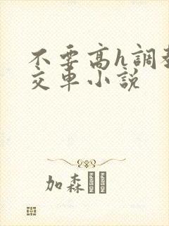 不要高h调教公交车小说