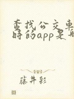 查找公交车在实时的app是哪个