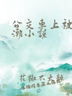 公交车上被插高潮小说