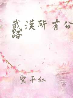 武汉所有公交线路