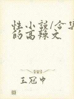 性小说/合集中的高辣文