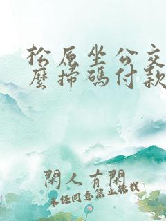 松原坐公交车怎么扫码付款