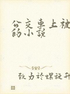 公交车上被插入的小说