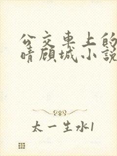 公交车上的诗请晴顾城小说阅读