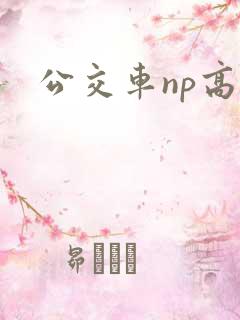 公交车np高h