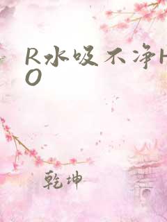 R水吸不净HPO