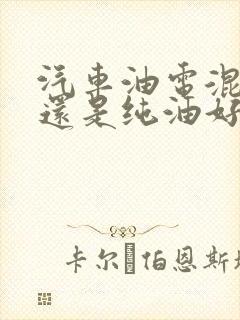 汽车油电混动好还是纯油好