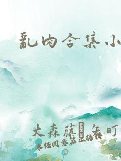 乱肉合集小说