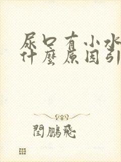 尿口有小水泡是什么原因引起的