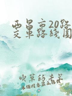 西昌市20路公交车路线图