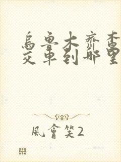 乌鲁木齐查看公交车到哪里了用什么软件