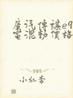 广汽传祺e9插电混动价格