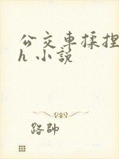 公交车揉捏花蒂h 小说