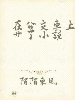 在公交车上被人艹了小说