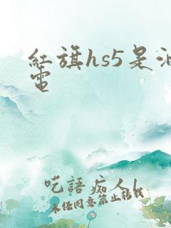 红旗hs5是油电