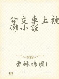 公交车上被摸高潮小说