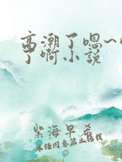 高潮了嗯~喷水了啊小说