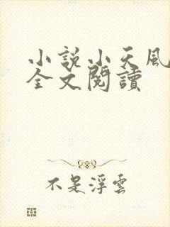 小说小天风流记全文阅读
