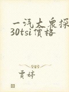 一汽大众探岳330tsi价格