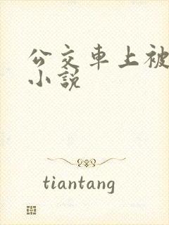 公交车上被qj小说