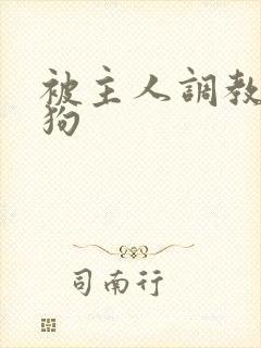 被主人调教的母狗