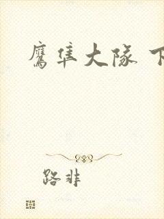 鹰隼大队 下载