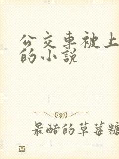 公交车被上高潮的小说